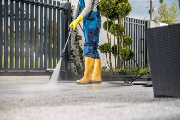 Best Animal Enclosure Cleaning  in Young Harris, GA